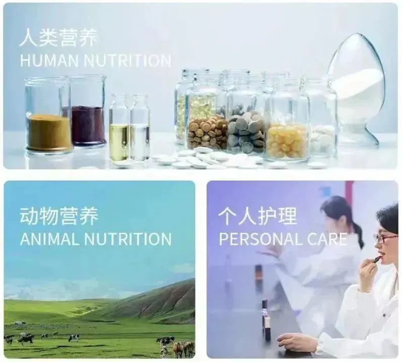 嘉必優(yōu)：從食品生物科創(chuàng)板“第一股”到合成生物學(xué)研發(fā)型上市公司